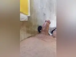 Amateur Free Live Porn of mazoman
