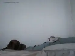 Amateur Free Live Porn of Tuvecino6