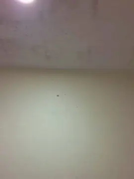 Cam4 Live Sex Cam of Coopstone