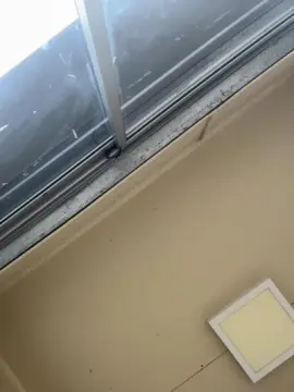 Cam4 Sex Cam of Riky52