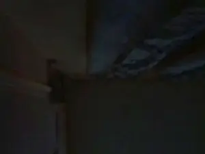 Cam4 Watch Live Sex Cams of PshonjMtce