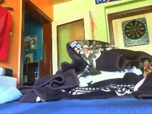 Cam4 Adult Webcams of DauergeilerSven