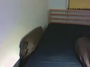 Cam4 Nude Webcam of bart_jam