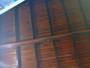 Cam4 Best Webcam of Michael_twinkk