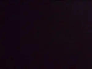 Cam4 Sex Chat of 007_Germany