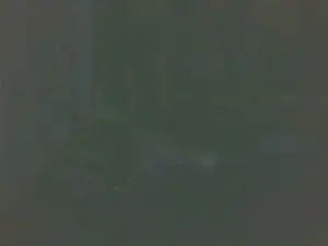 Cam4 Free Porn Cam of boost2469