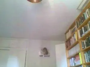 Cam4 Sex Cam of wattknott