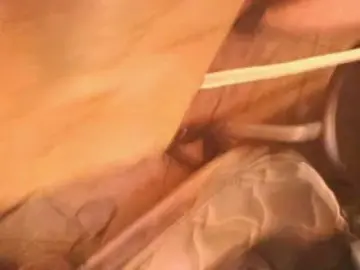 Cam4 Live Sex of hugezb