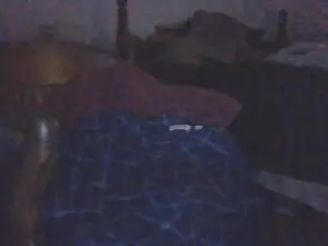 Cam4 Watch Live Sex Cams of jp8incok
