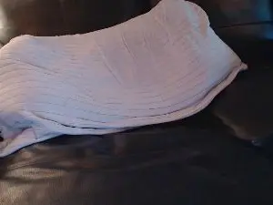 Cam4 Live Sex Cam of topgun28