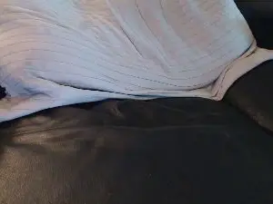 Cam4 Live Sex Cam of topgun28