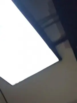 Cam4 Free Porn Cam of Fresh_boiPussy