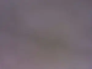 Cam4 Best Webcam of singolare1