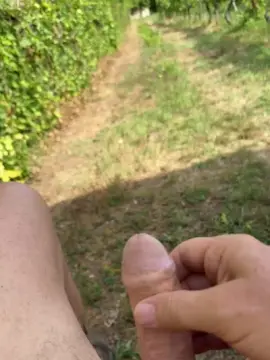 Cam4 Live Sex Cam of elmissimo