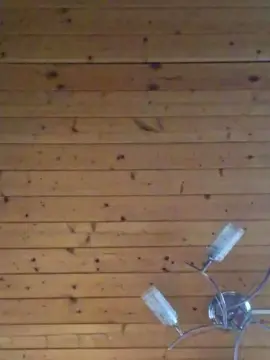 Cam4 Live Porn of olegpol