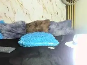 Cam4 Best Webcam of obregon_boyx18