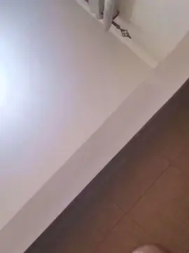 Cam4 Sex Cam of HornyMoney