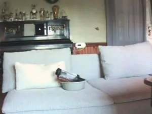 Cam4 Adult Webcam of Samaddict49
