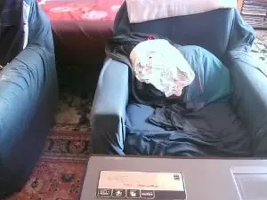 Cam4 Sex Cam of comcapi