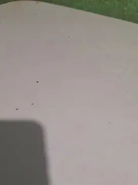 Cam4 Live Sex of rickcba