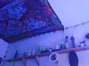 Cam4 Adult Video Chat of Puffshagswell