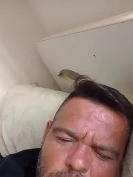 Cam4 Watch Live Sex Cams of Diegoxxl3