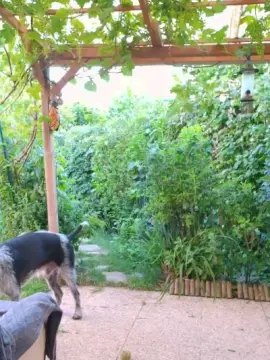 Cam4 Sex Chat of tomsauwer