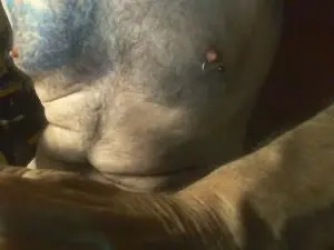 Cam4 Free Live Porn of berrichon57