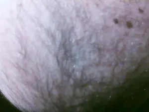 Cam4 Nude Webcam of runroma
