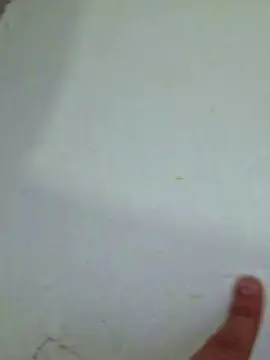 Cam4 Free Porn Cam of mateus1938