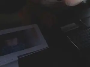 Cam4 Sex Chat of Linienpiilot