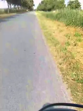 Cam4 Free Live Porn of Williger7