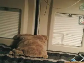 Camsoda Live Sex of charlescock