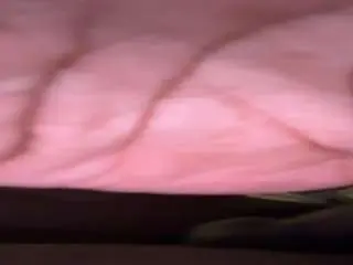 Camsoda Free Live Porn of handsomepapibbc