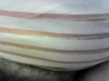 Chaturbate Live Porn of felicaste