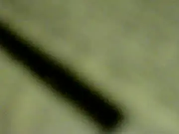 Chaturbate Watch Live Sex Cams of doby2020