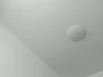 Chaturbate Sex Cam of 200gentleman