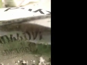 Chaturbate Free Live Porn of airbornx2n1