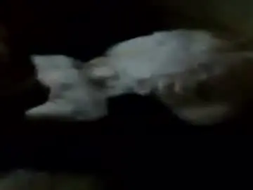 Chaturbate Nude Webcam of lou_suffer