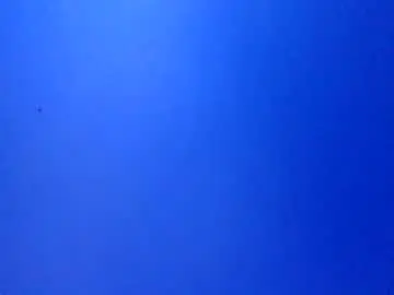 Chaturbate Live Sex of bonershow