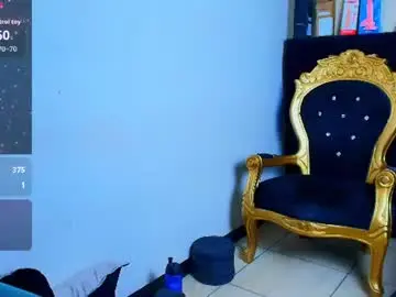 Chaturbate Private Sex Chat of ariies13