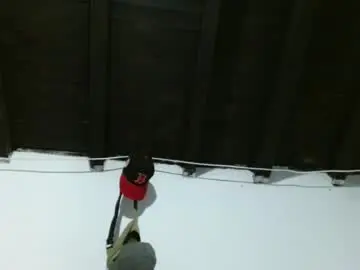 Chaturbate Free Live Porn of sk8sir