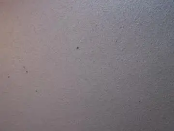 Chaturbate Private Sex Chat of your_king_of_hearts