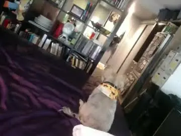 Chaturbate Best live sex cam show of dcteamfucker