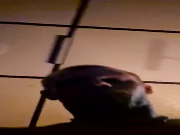 Chaturbate Nude Webcam of jackacaster