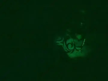 Chaturbate Adult Webcams of toxicidad_sex