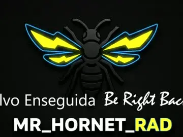Chaturbate Best Webcam of mr_hornet_rad