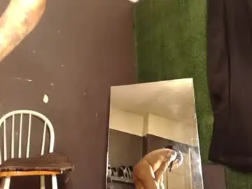 Chaturbate Nude Webcam of bigpussypump