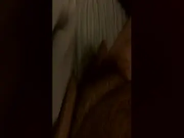 Chaturbate Adult Video Chat of hairbear5