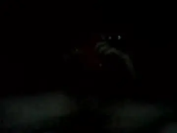 Chaturbate Sex Chat of levilarkins3877368